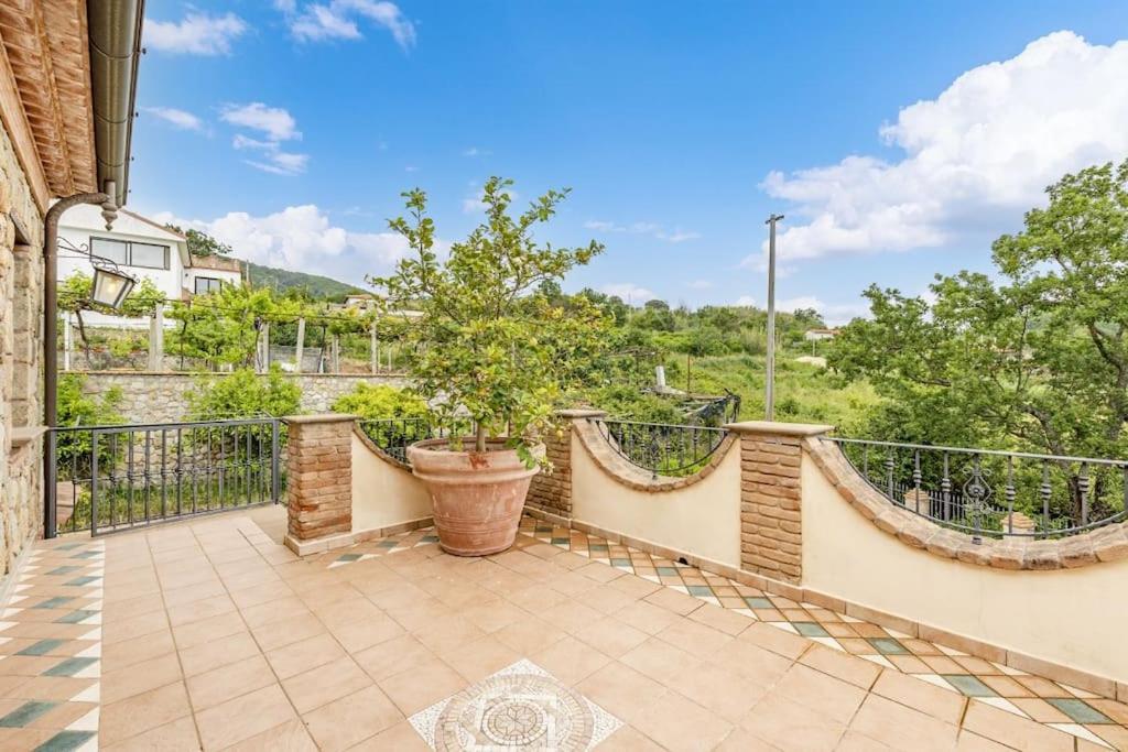 La Villa Di Nonna Angela Pisciotta Bagian luar foto