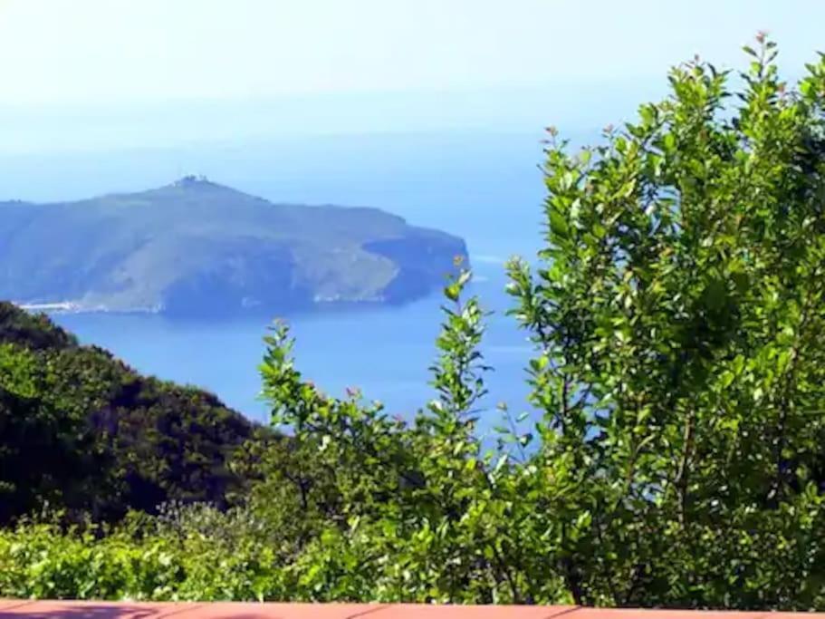La Villa Di Nonna Angela Pisciotta Bagian luar foto